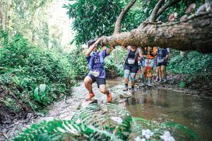 BIB: 
                            <button type="button" onclick="openModal(25475640)" class="btn btn-primary btn-sm float-right btn-popup" data-toggle="modal" data-target=".modal-high-quality">
                        <i class="fas fa-shopping-cart"></i> Add to Cart
                    </button>
                                            <button type="button" onclick="isThisMe(25475640, true)" class="btn btn-success btn-sm float-right btn-popup btn-isme hidden" data-toggle="tooltip" data-placement="bottom" title="นี่คือรูปของคุณใช่ไหม คลิกที่นี่เพื่อเอาเข้าอัลบั้ม">
                        <i class="fas fa-plus"></i> Add to album
                    </button>
                    <button type="button" onclick="isThisMe(25475640, false)" class="btn btn-warning btn-sm float-right btn-popup btn-isnotme hidden">
                        <i class="fas fa-ban"></i> Remove from album
                    </button>